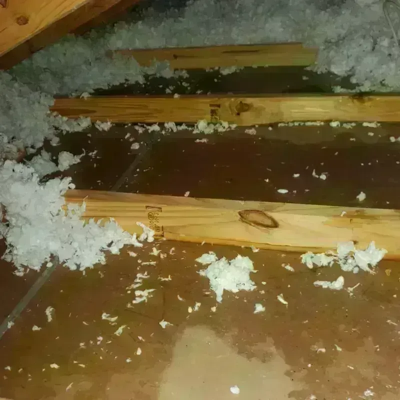 Attic Water Damage in Carriage Club, CO